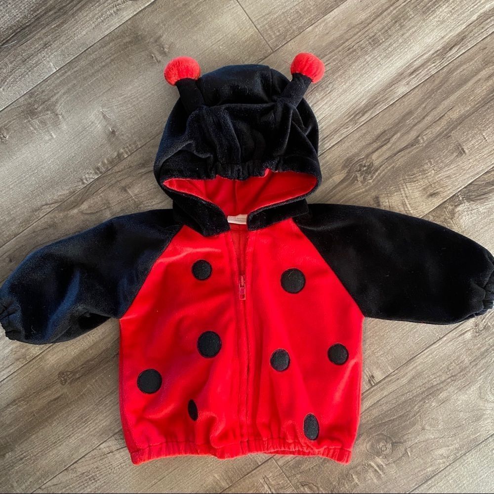 First Moments Lady Bug Outfit / Costume size 3/6 months - Picture 2 of 11